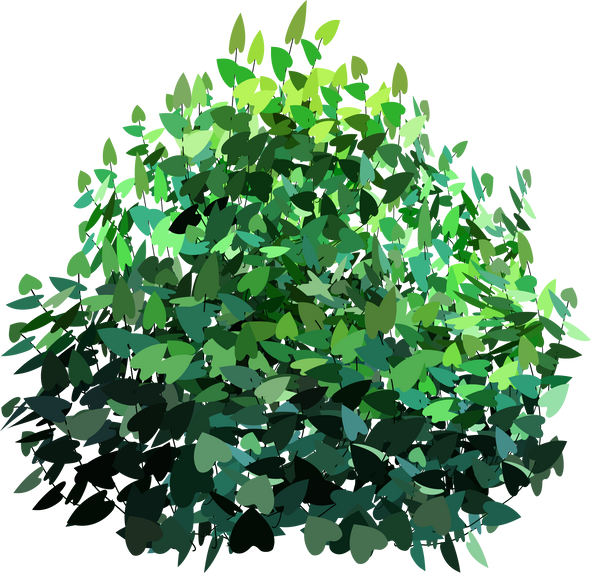 Green Bush Illustration