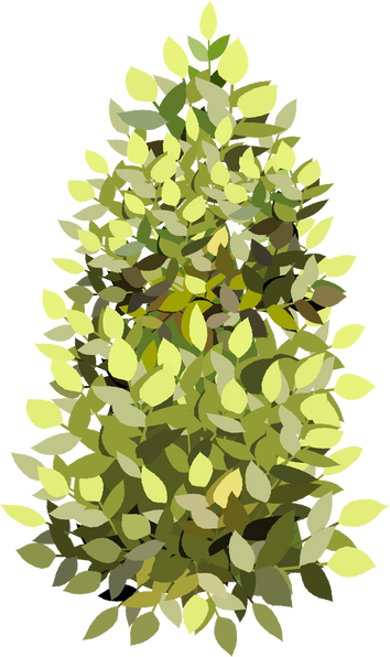 Bush Flat Illustration