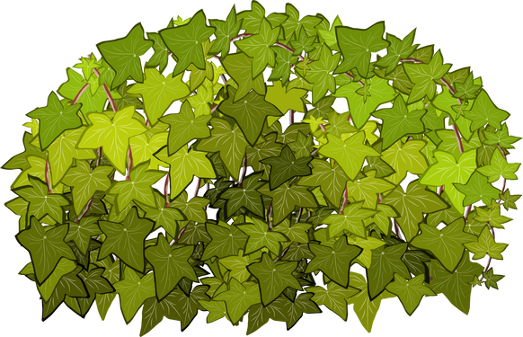 Green Bush Illustration