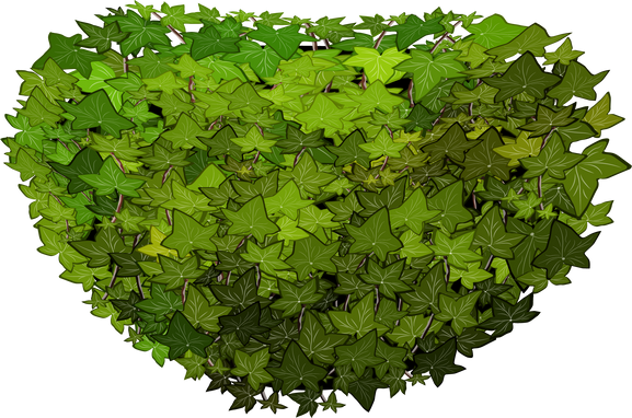Green Bush Illustration
